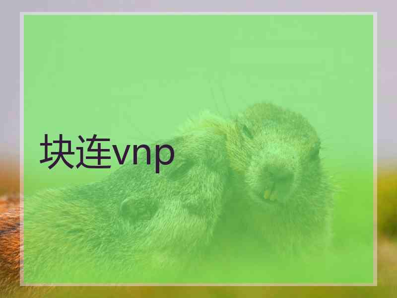 块连vnp