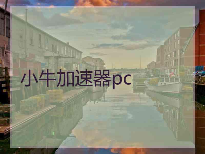 小牛加速器pc