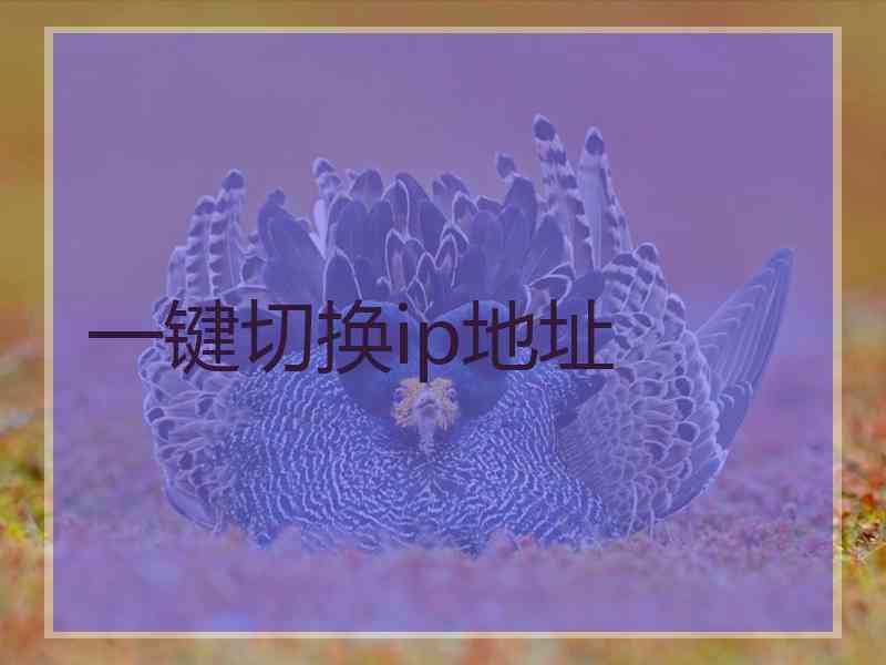 一键切换ip地址