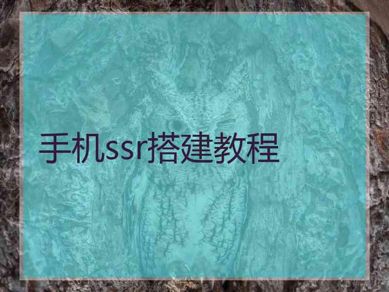 手机ssr搭建教程