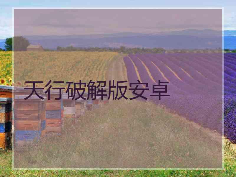 天行破解版安卓