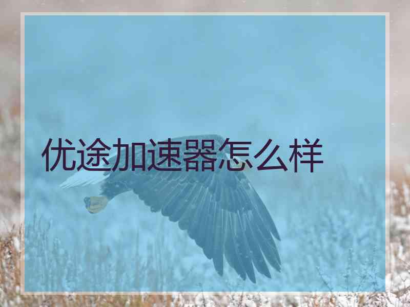 优途加速器怎么样