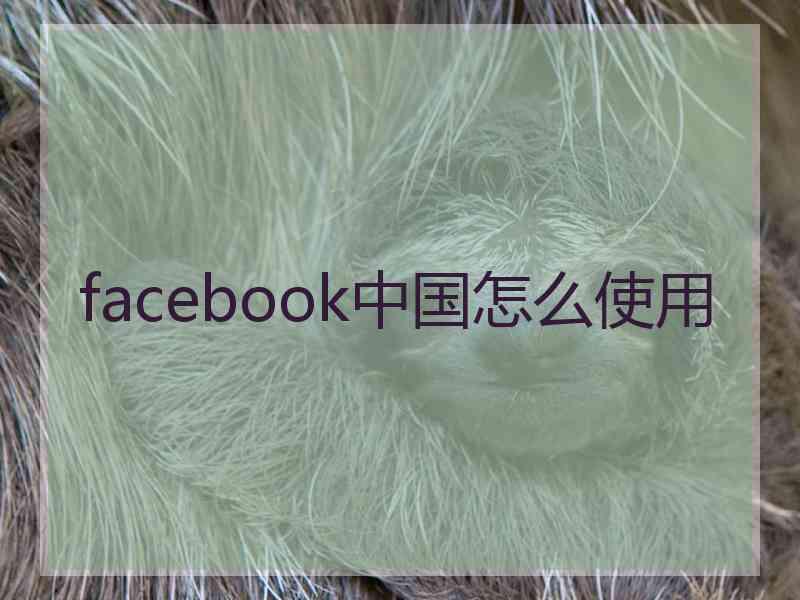 facebook中国怎么使用