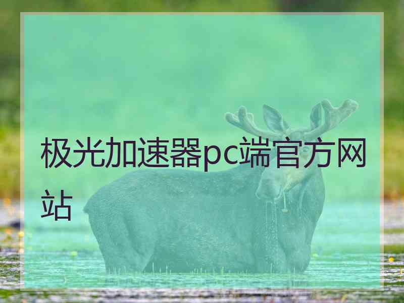 极光加速器pc端官方网站