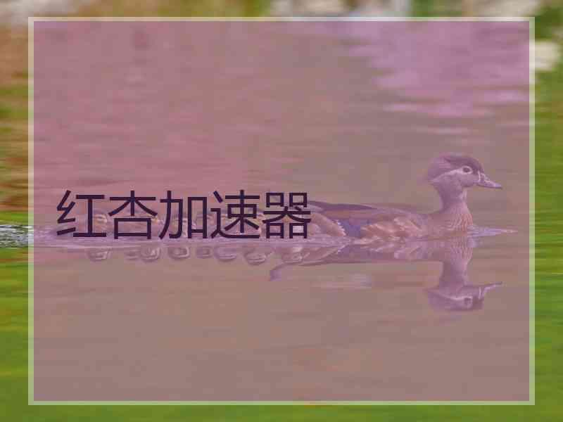 红杏加速器