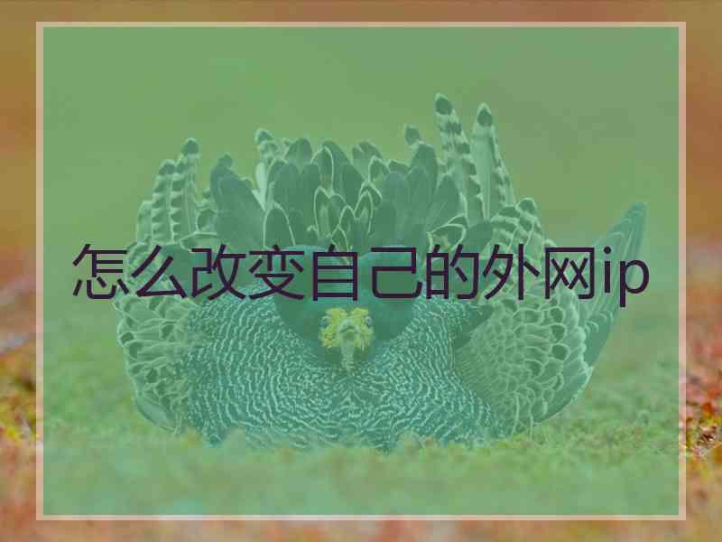 怎么改变自己的外网ip