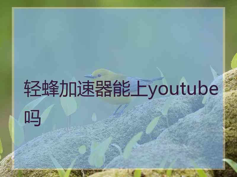 轻蜂加速器能上youtube吗
