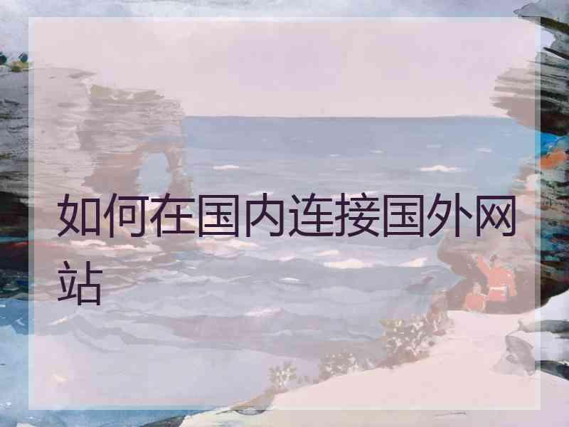 如何在国内连接国外网站
