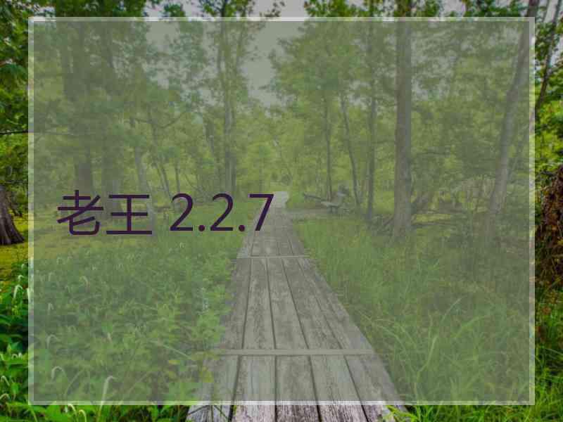 老王 2.2.7