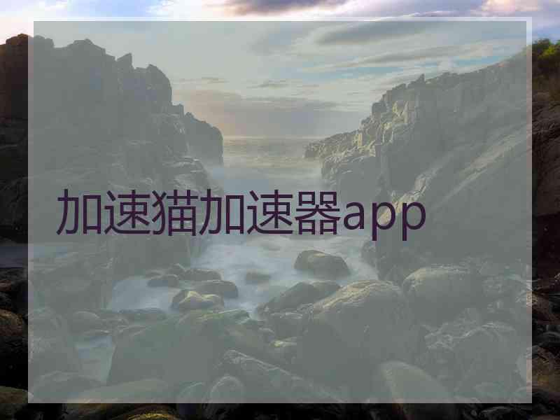 加速猫加速器app