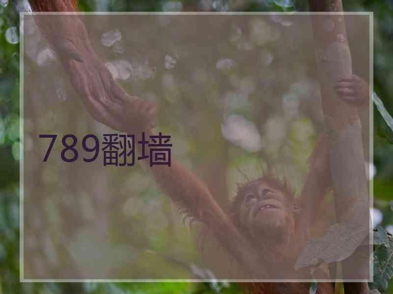 789翻墙