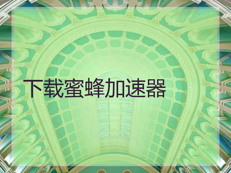 下载蜜蜂加速器