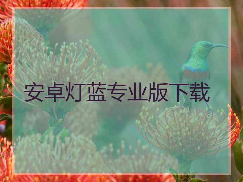 安卓灯蓝专业版下载