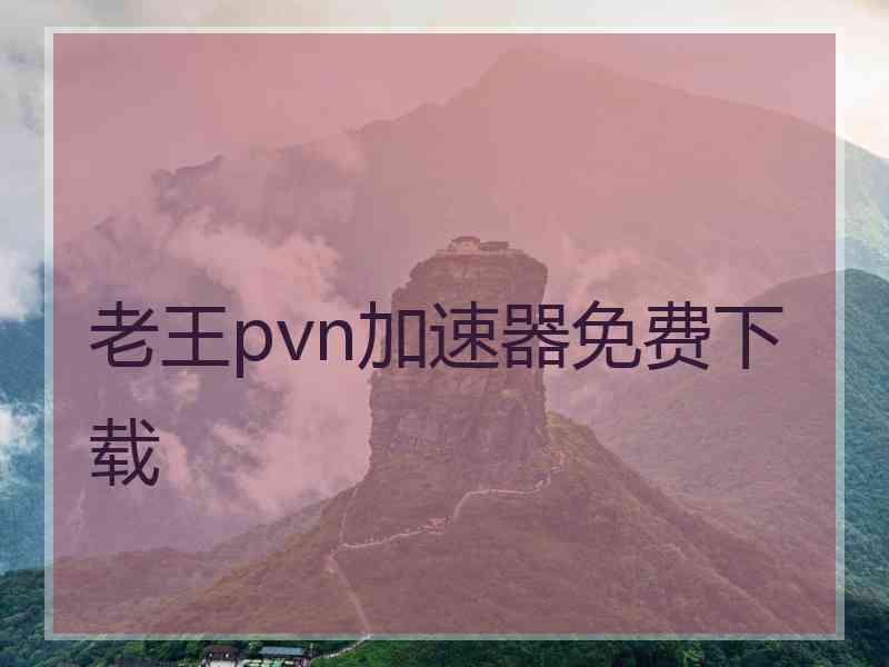 老王pvn加速器免费下载