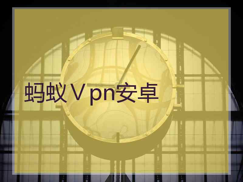 蚂蚁Ⅴpn安卓