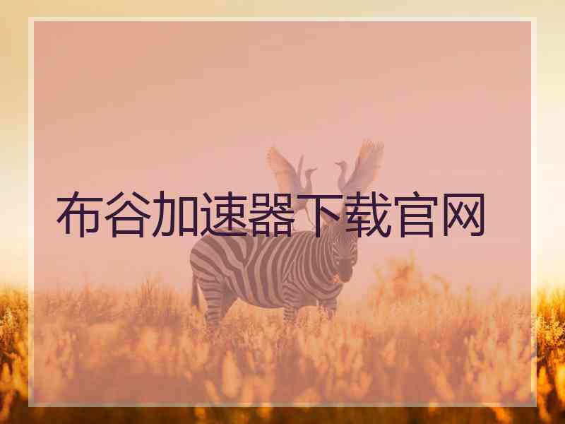 布谷加速器下载官网