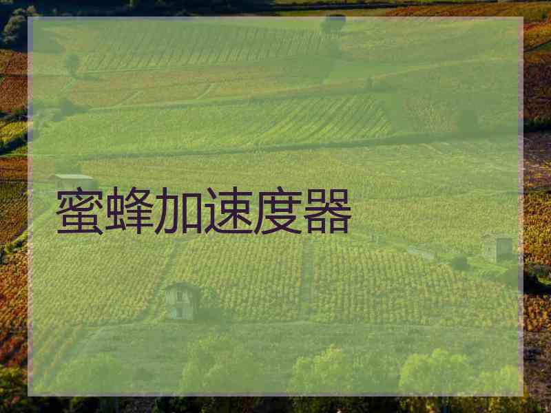 蜜蜂加速度器