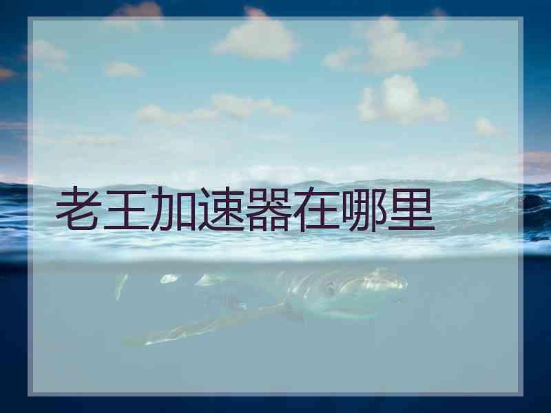 老王加速器在哪里