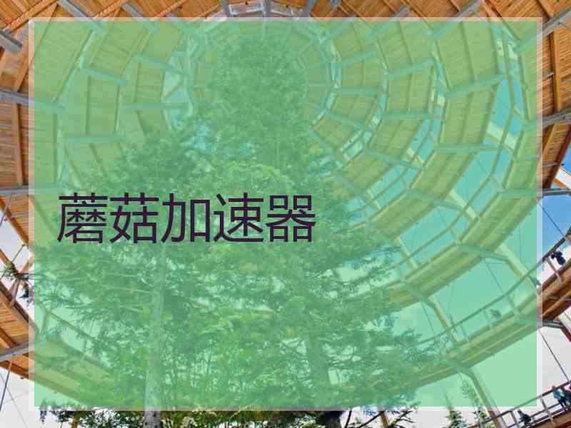 蘑菇加速器