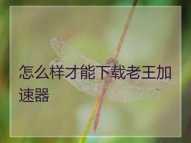 怎么样才能下载老王加速器