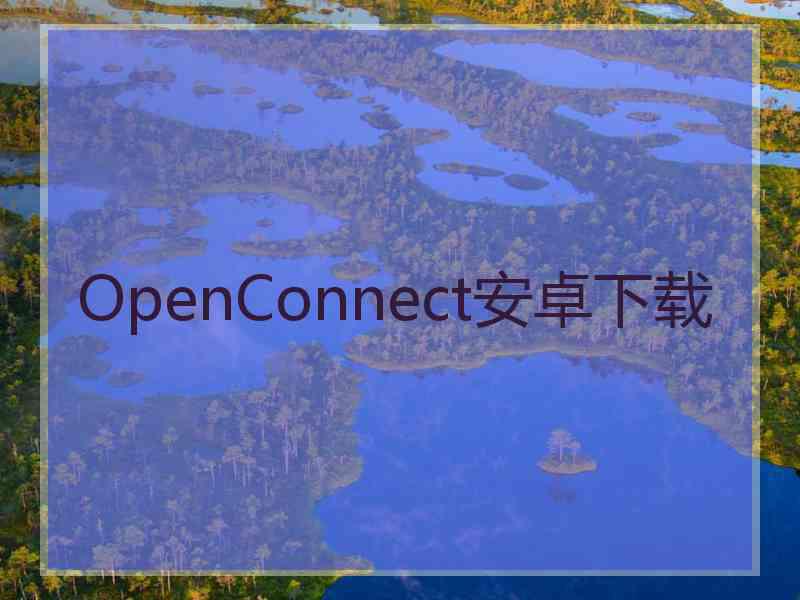 OpenConnect安卓下载