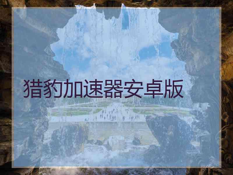 猎豹加速器安卓版