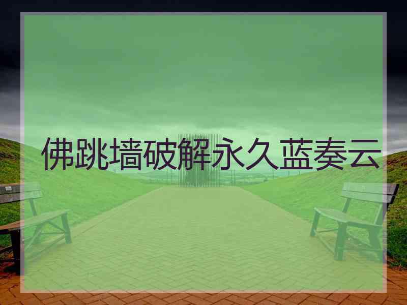 佛跳墙破解永久蓝奏云