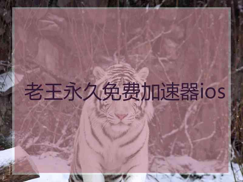 老王永久免费加速器ios