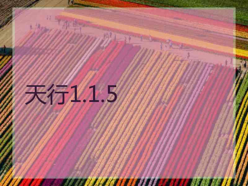 天行1.1.5