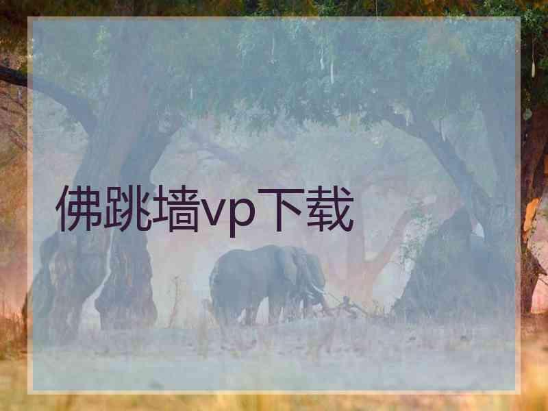 佛跳墙vp下载