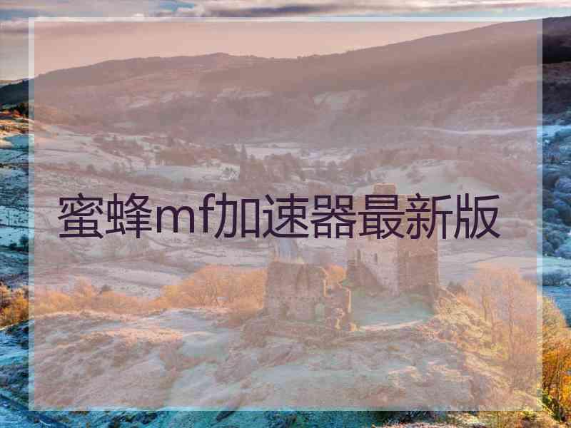 蜜蜂mf加速器最新版