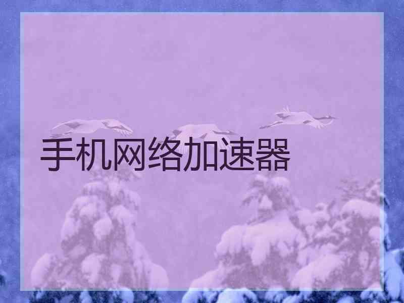 手机网络加速器