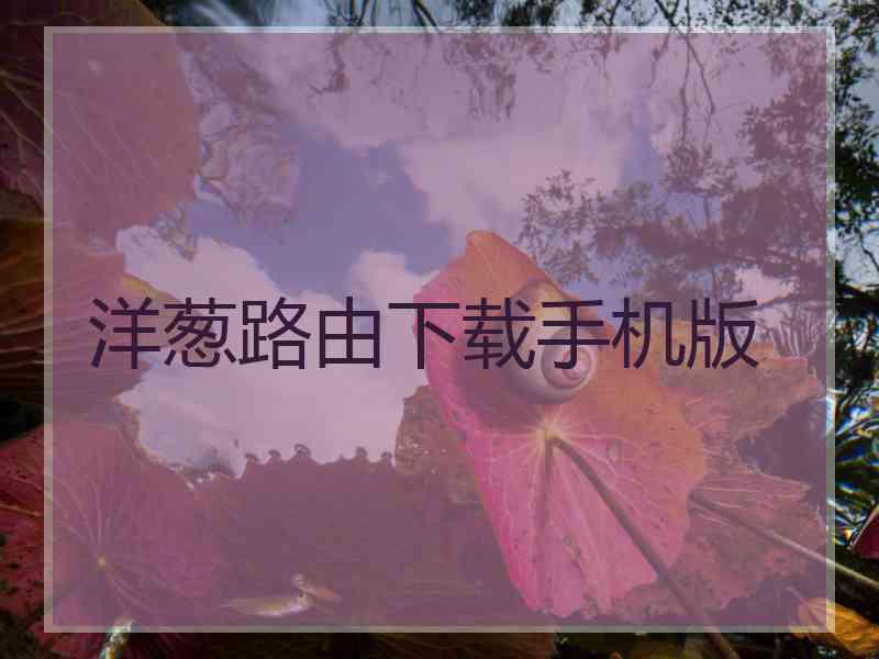 洋葱路由下载手机版