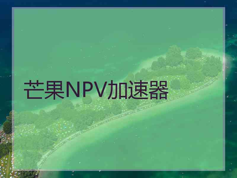 芒果NPV加速器