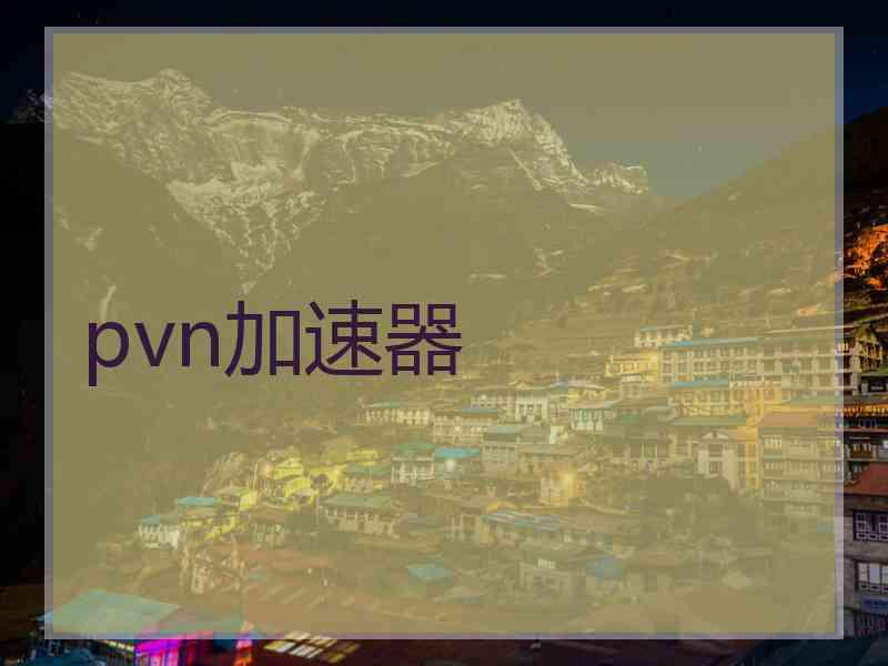 pvn加速器