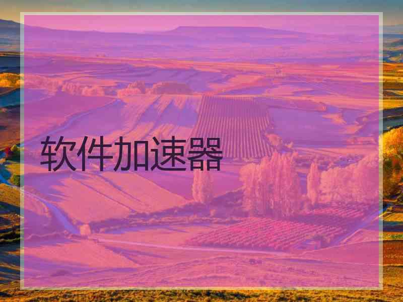 软件加速器