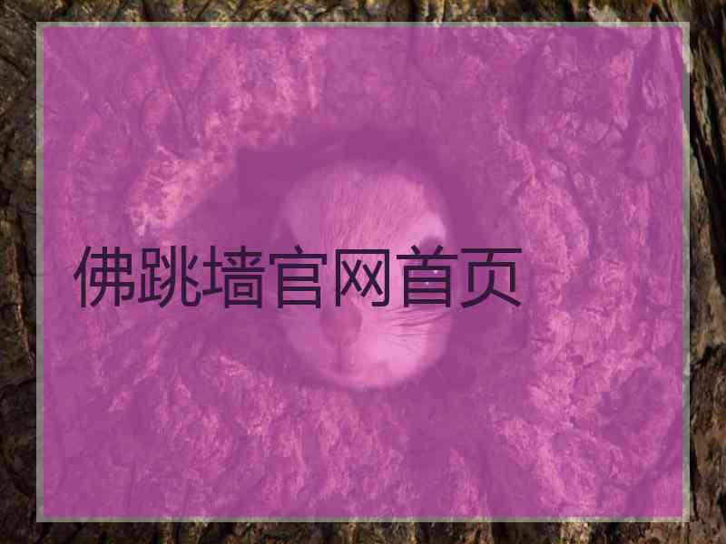 佛跳墙官网首页