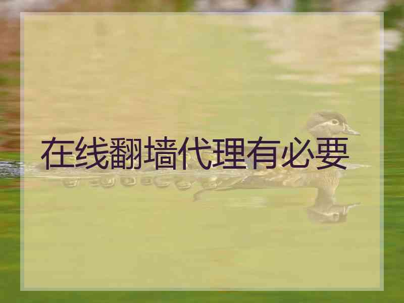 在线翻墙代理有必要