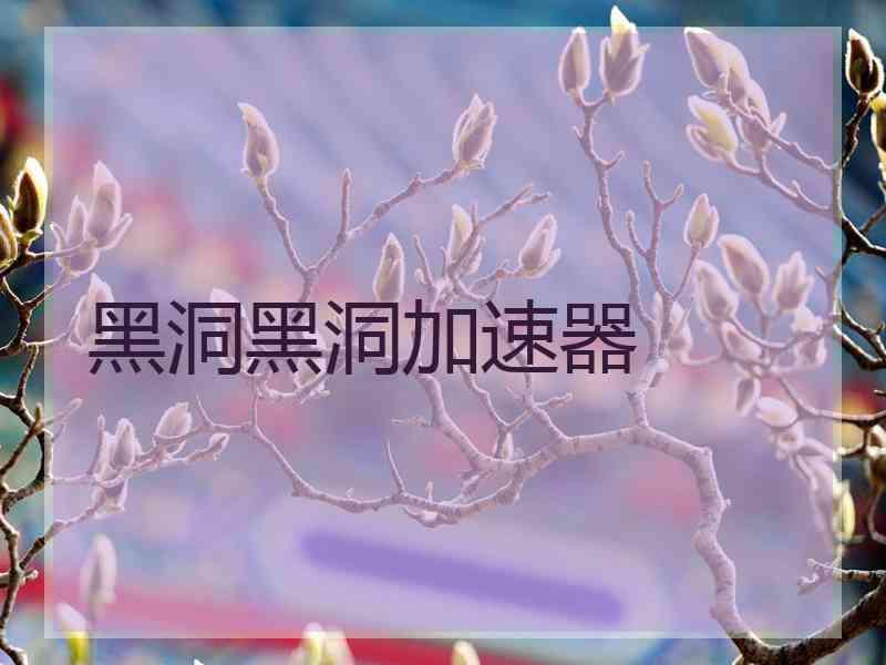 黑洞黑洞加速器