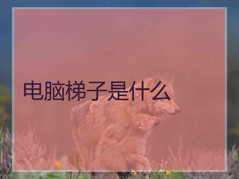 电脑梯子是什么