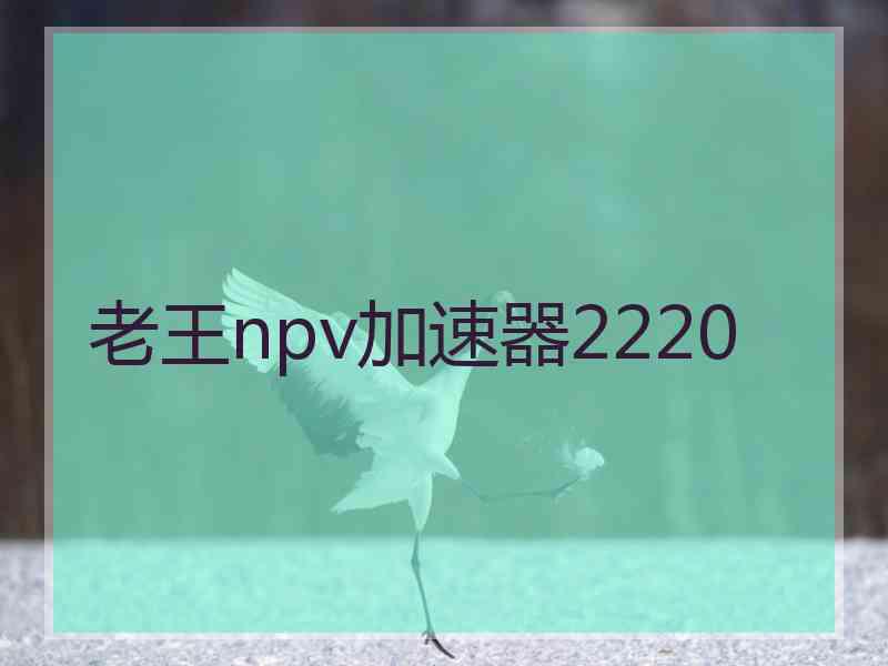 老王npv加速器2220