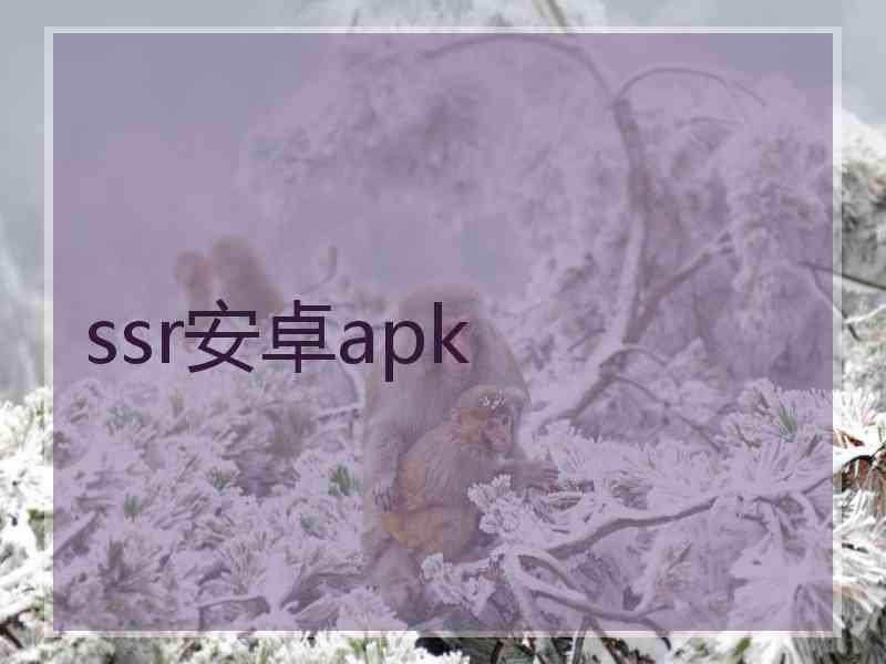 ssr安卓apk