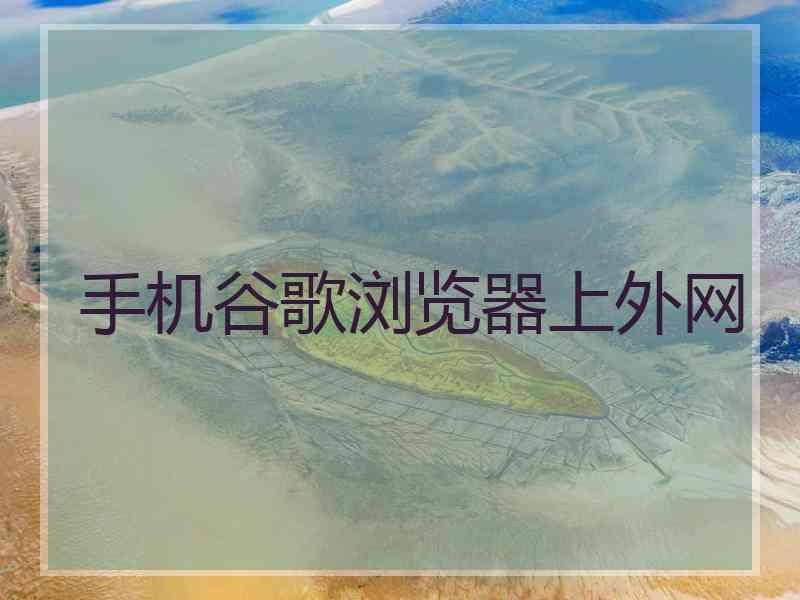 手机谷歌浏览器上外网