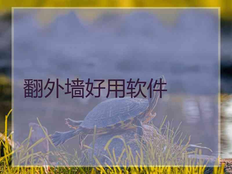 翻外墙好用软件
