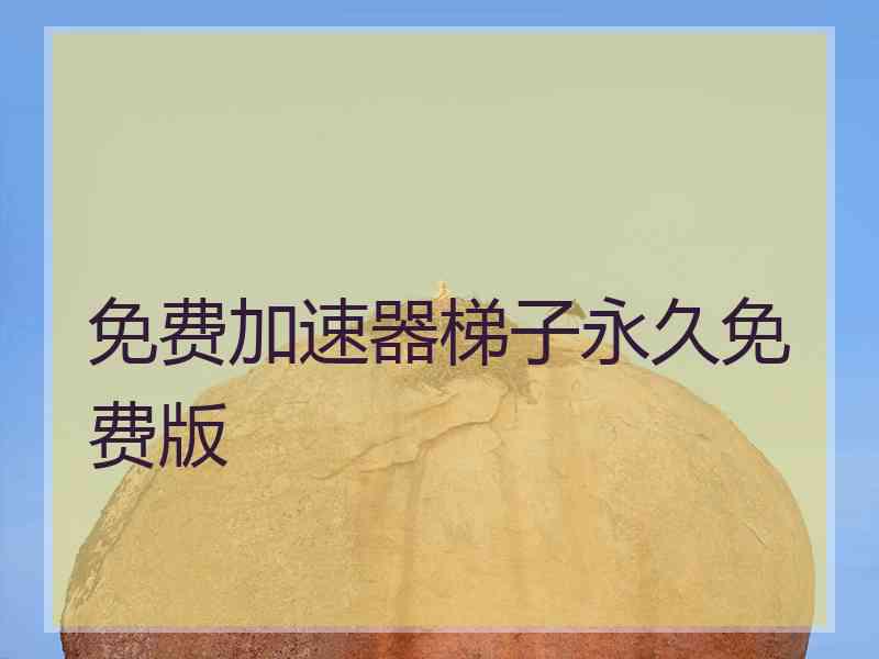 免费加速器梯子永久免费版