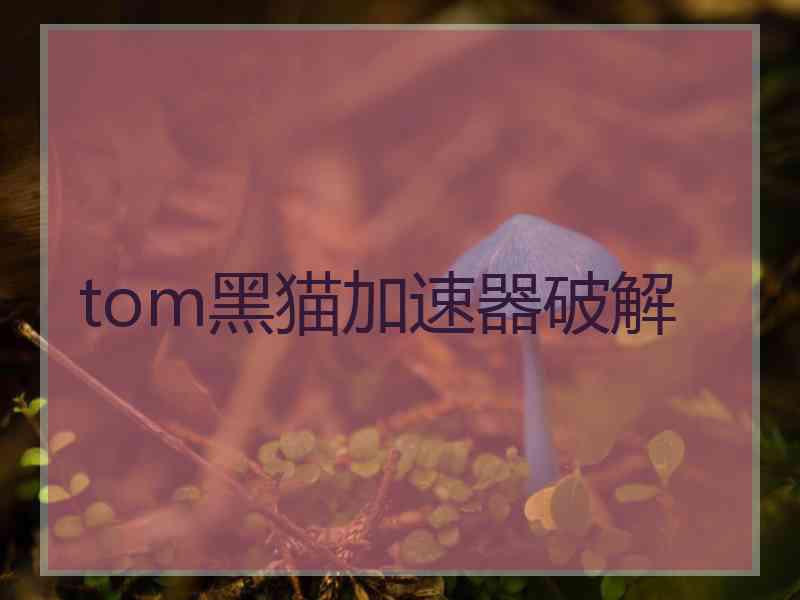 tom黑猫加速器破解