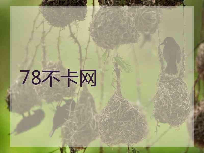 78不卡网