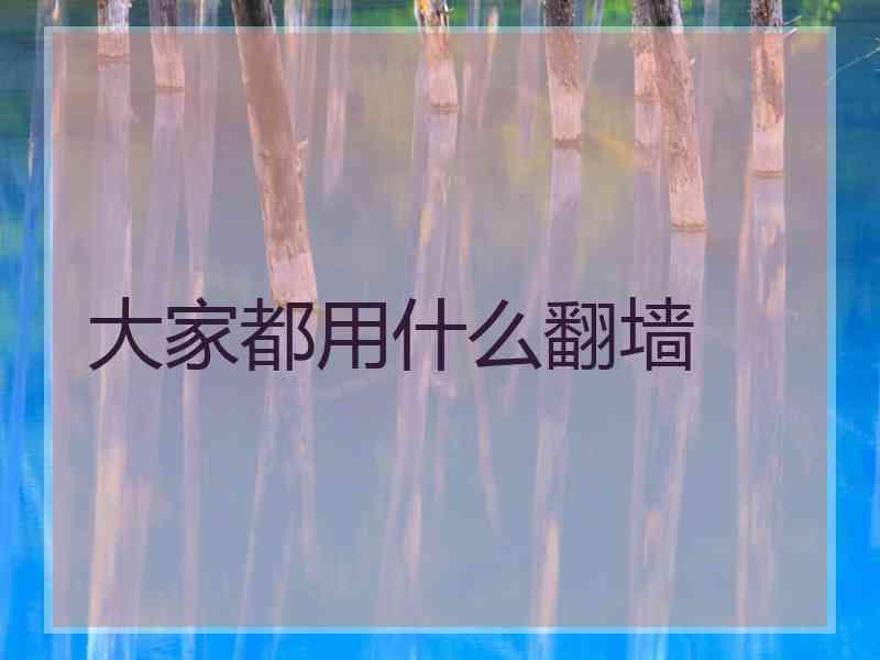 大家都用什么翻墙