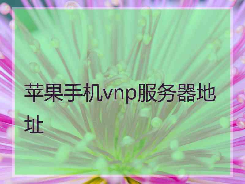 苹果手机vnp服务器地址