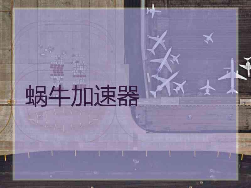 蜗牛加速器